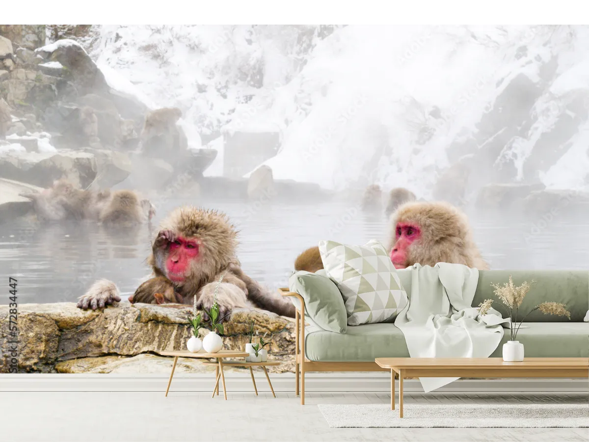 Snow monkeys sitting in the hot springs