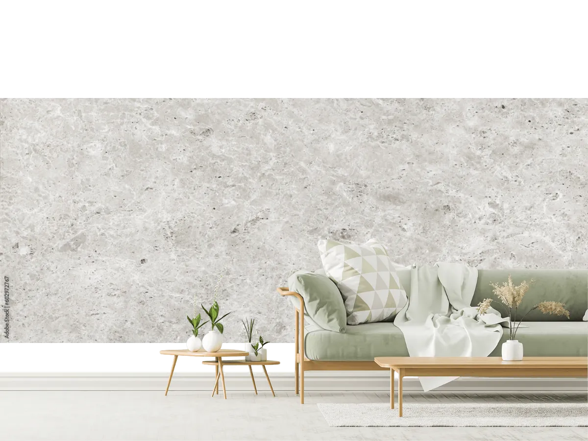 Mural Alba Suave Gris Claro para Pared – Fotomural Decorativo en Vinil y Tapiz