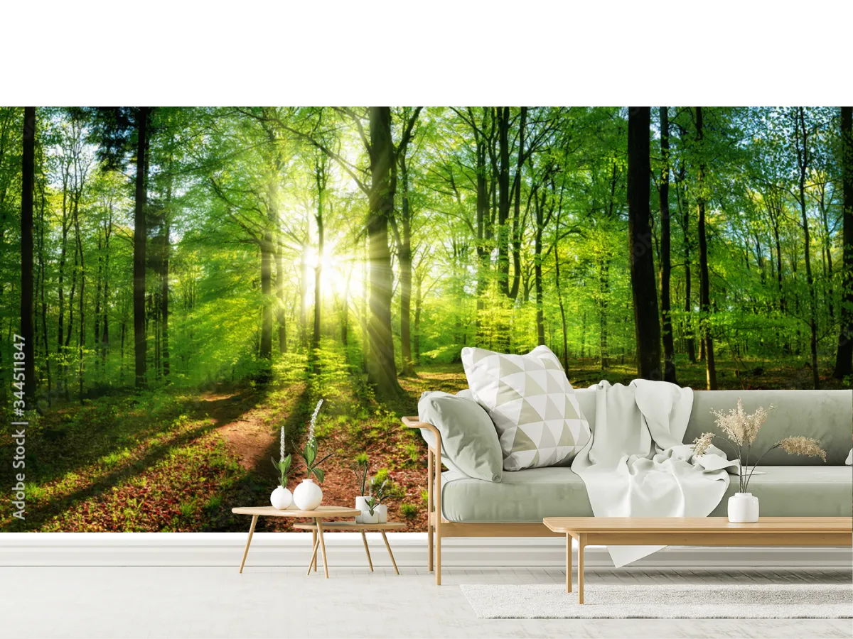 Mural Bosque Radiante Amanecer | Vinil, Papel Tapiz y Más