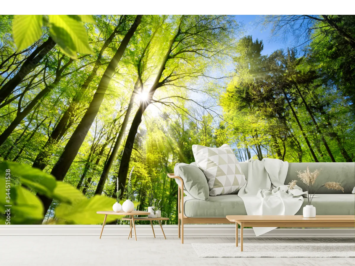 Mural Bosque Brillante Modelo Amanecer Verde para Decoración de Sala
