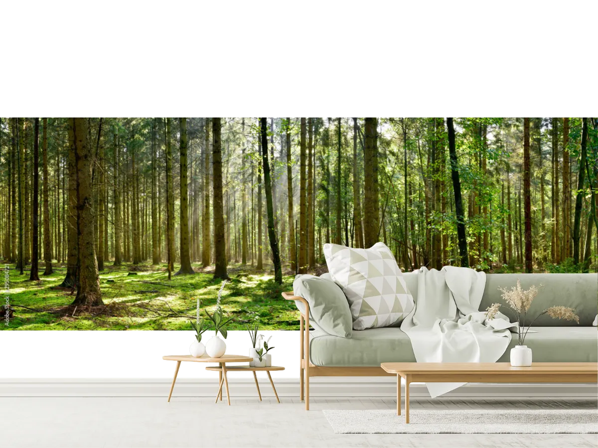 Mural Bosque Encantado Amanecer Vinil Arquitectónico o Papel Tapiz
