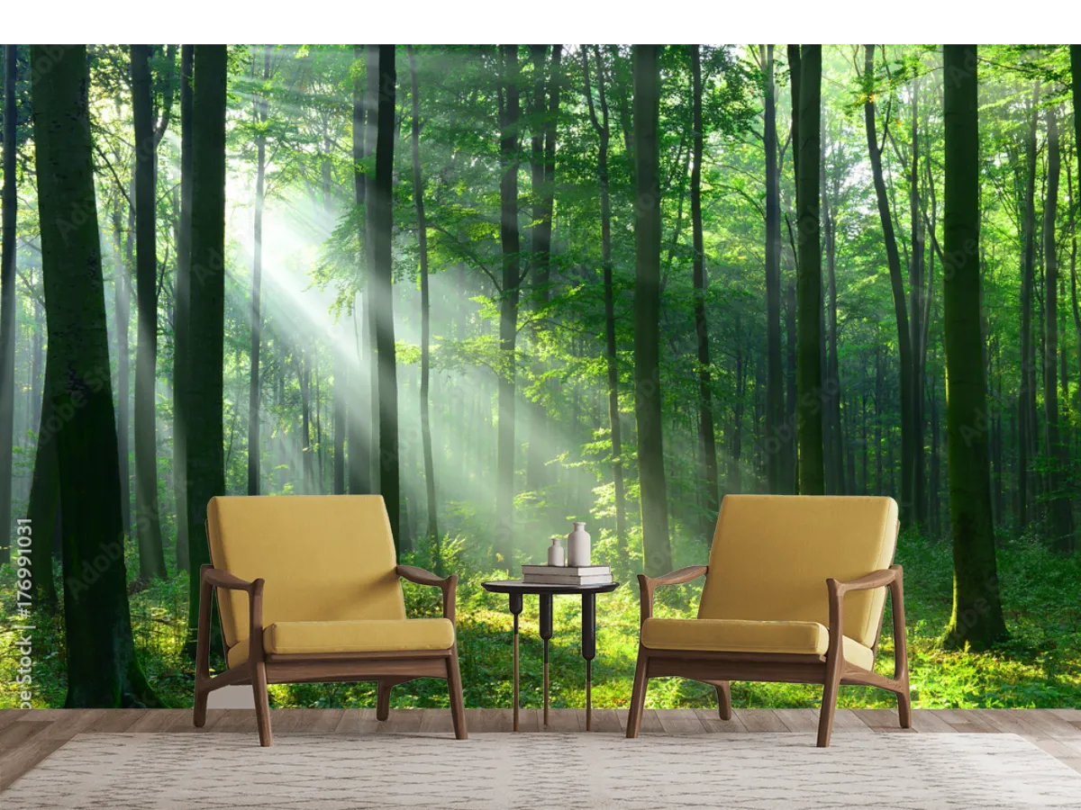 Mural Bosque Luz de Amanecer Vinil Arquitectónico Fotomural Decorativo
