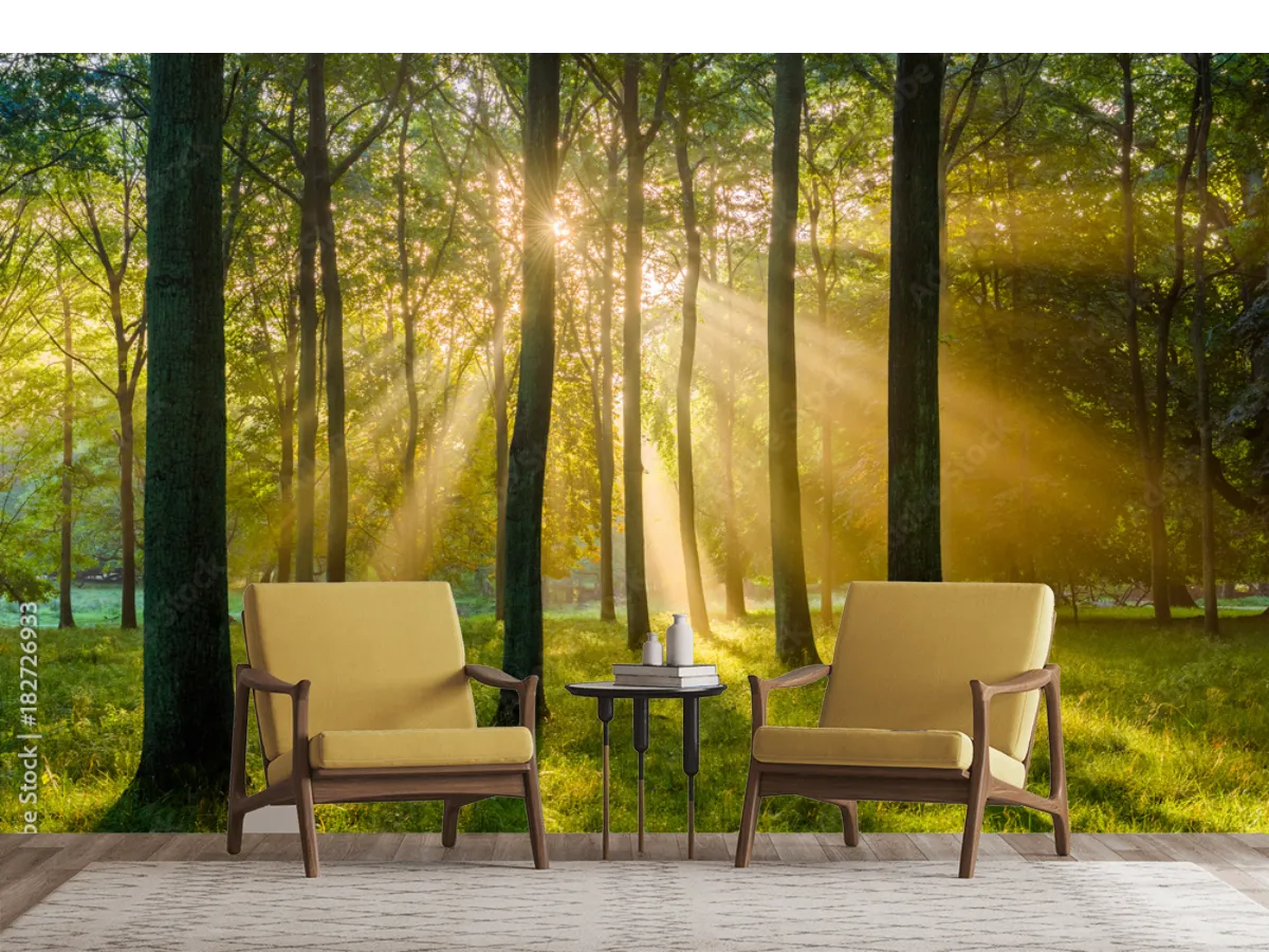 Mural Bosque Amanecer en Vinil Arquitectónico para Decoración de Sala