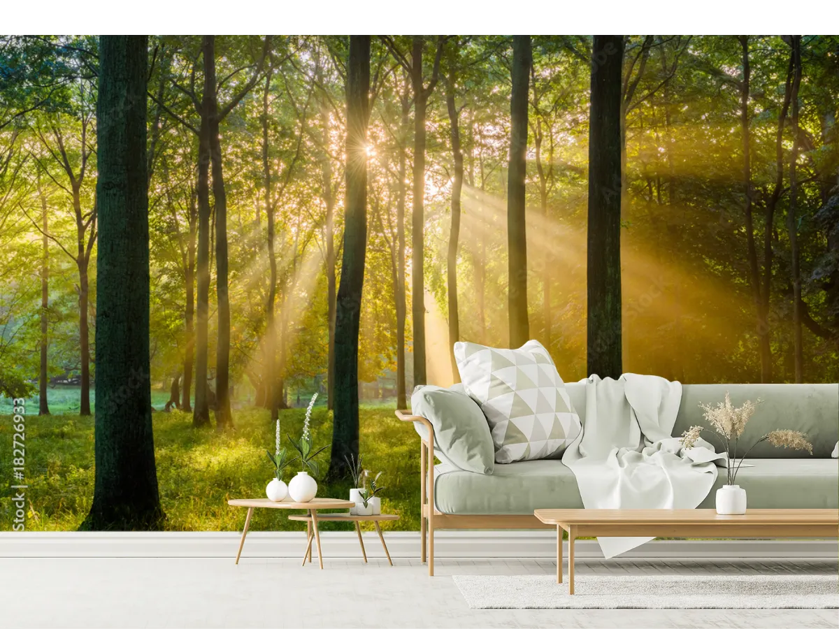 Mural Bosque Amanecer en Vinil Arquitectónico para Decoración de Sala
