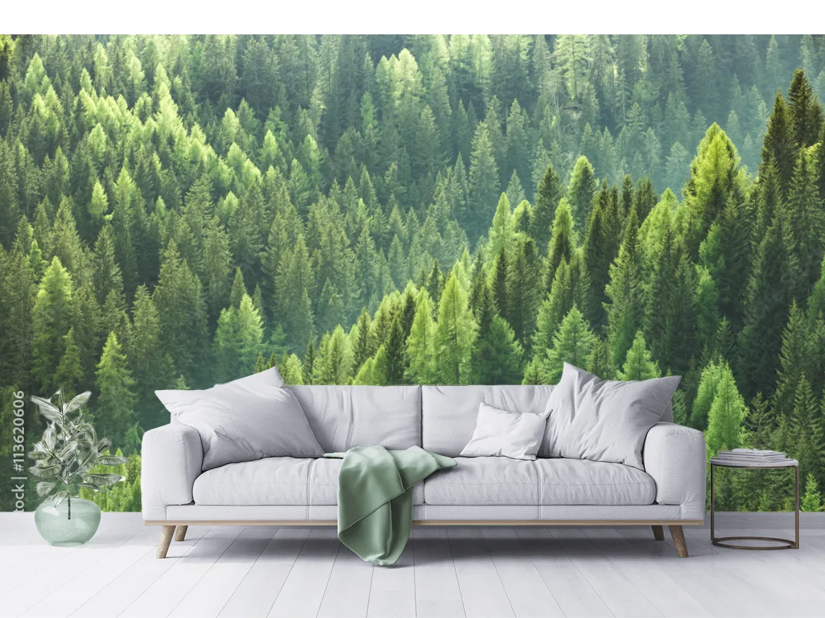 Mural Bosque Esmeralda – Fotomural Natural para Pared en Vinil o Papel Tapiz