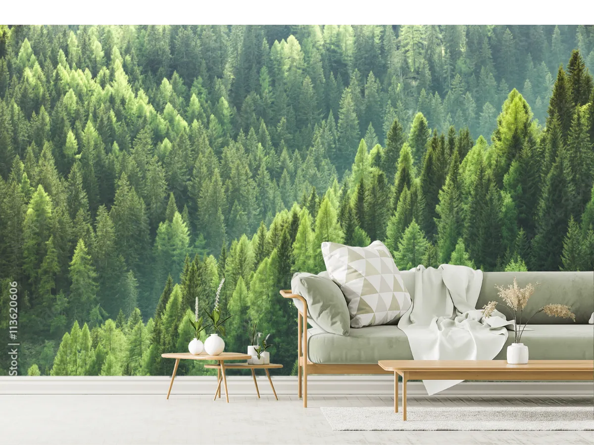 Mural Bosque Esmeralda – Fotomural Natural para Pared en Vinil o Papel Tapiz