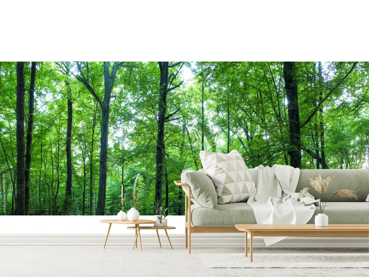 Mural Bosque Encantado Verde en Vinil o Tapiz para Decoración de Sala