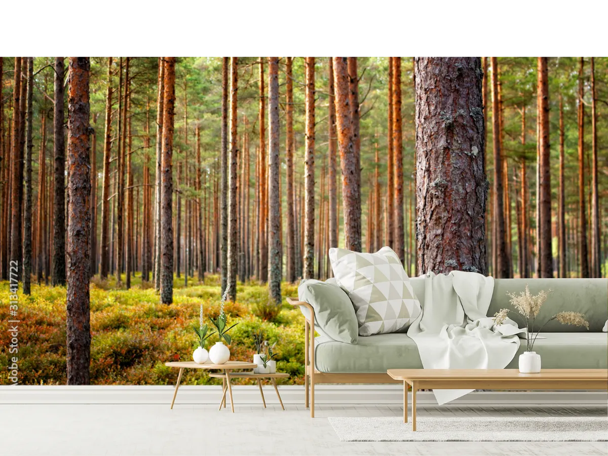 Mural Bosque Místico Relajante para decoración de sala - Vinil o Tapiz