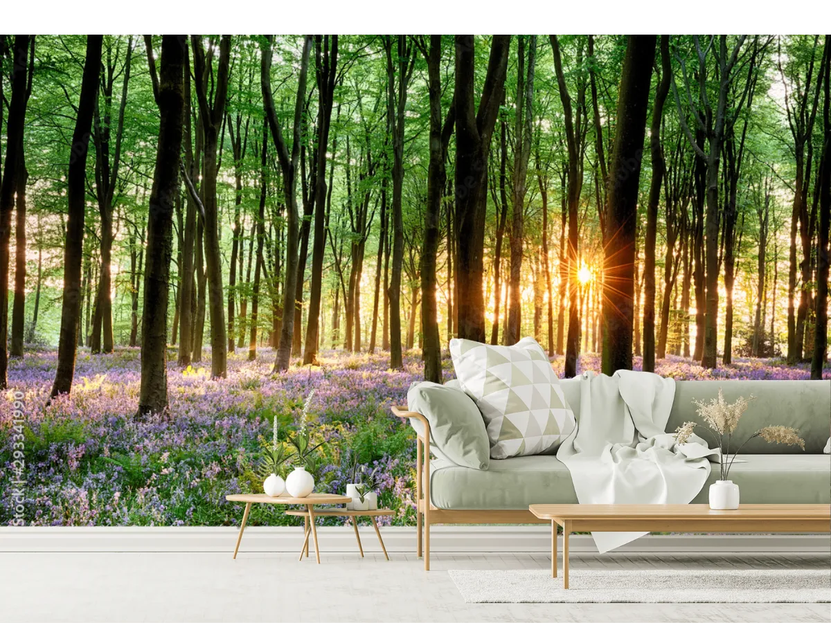 Mural Bosque Encantado Amanecer | Fotomural Decorativo Vinil/Papel Tapiz
