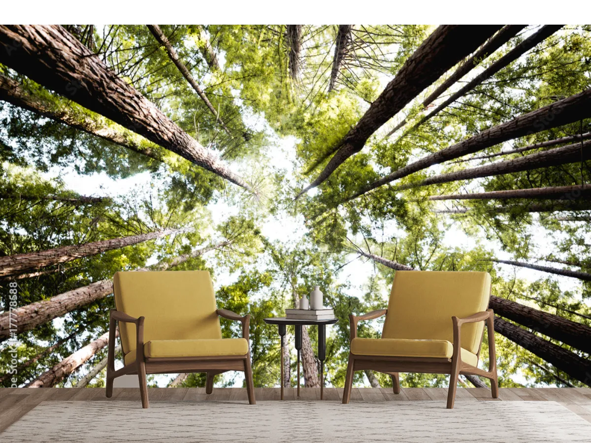 Mural Bosque Eterno para Pared – Fotomural Decorativo en Vinil, Papel Tapiz y Más