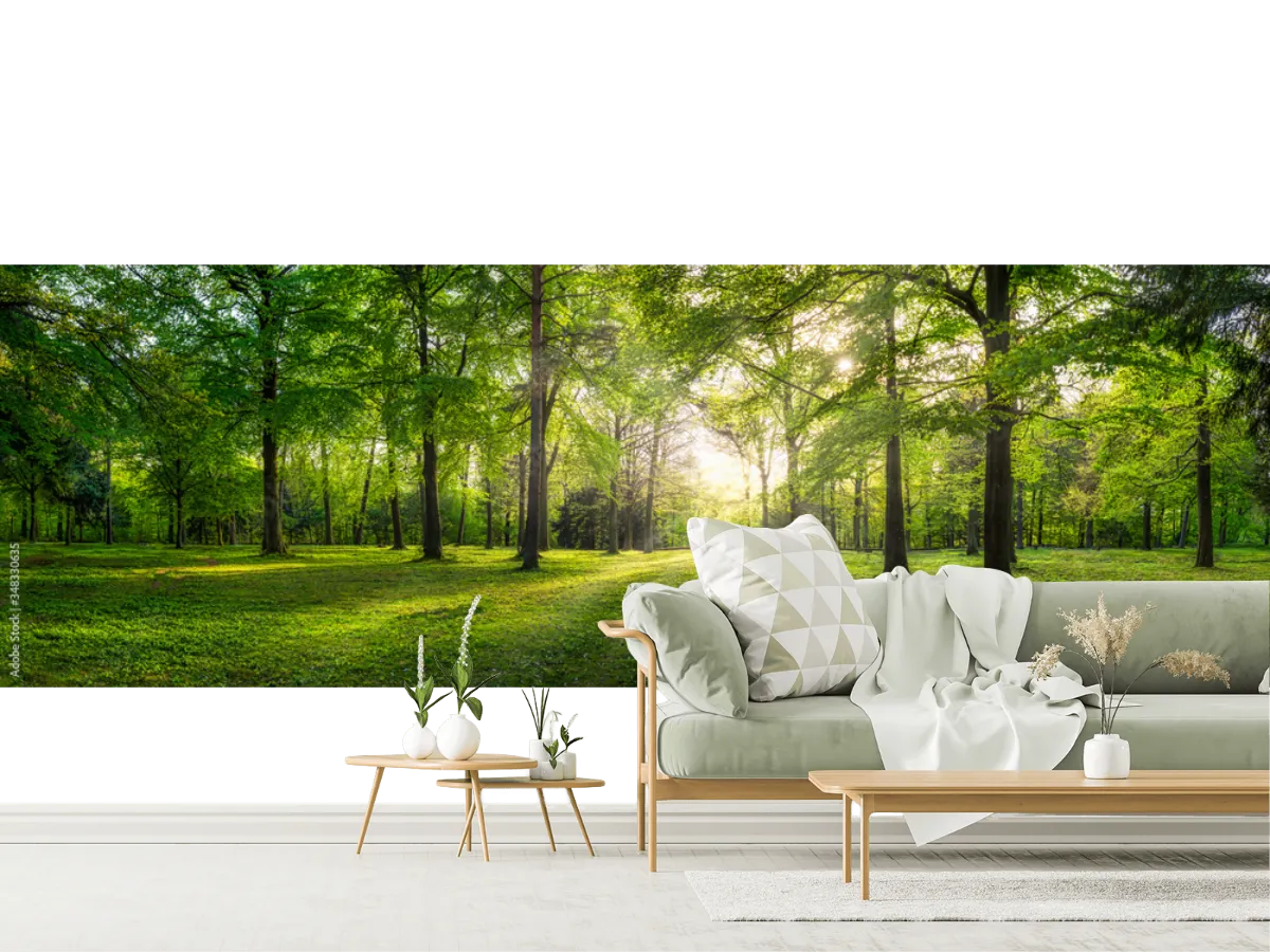 Mural Bosque Luz Eterna | Fotomural Vinil/Papel Tapiz Texturizado