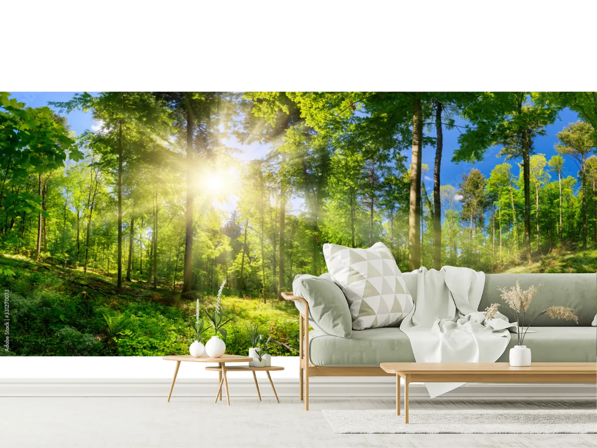 Mural Bosque Luminoso para Pared – Fotomural Decorativo en Vinil o Papel Tapiz
