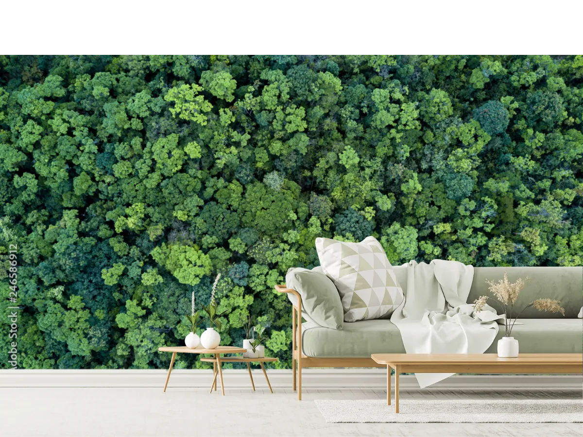 Mural Bosque Esmeralda – Fotomural de Pared en Vinil y Papel Tapiz