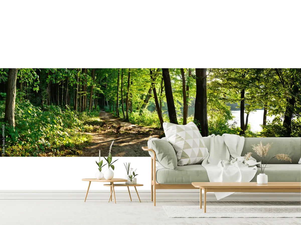 Mural Sendero Escondido Bosque Fresco para decoración de pared