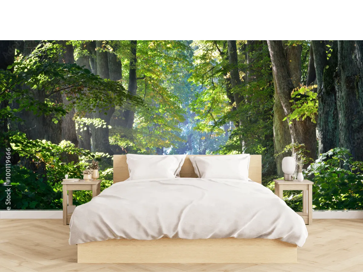 Mural Sendero Encantado Bosque – Fotomural Natural para Decoración de Sala