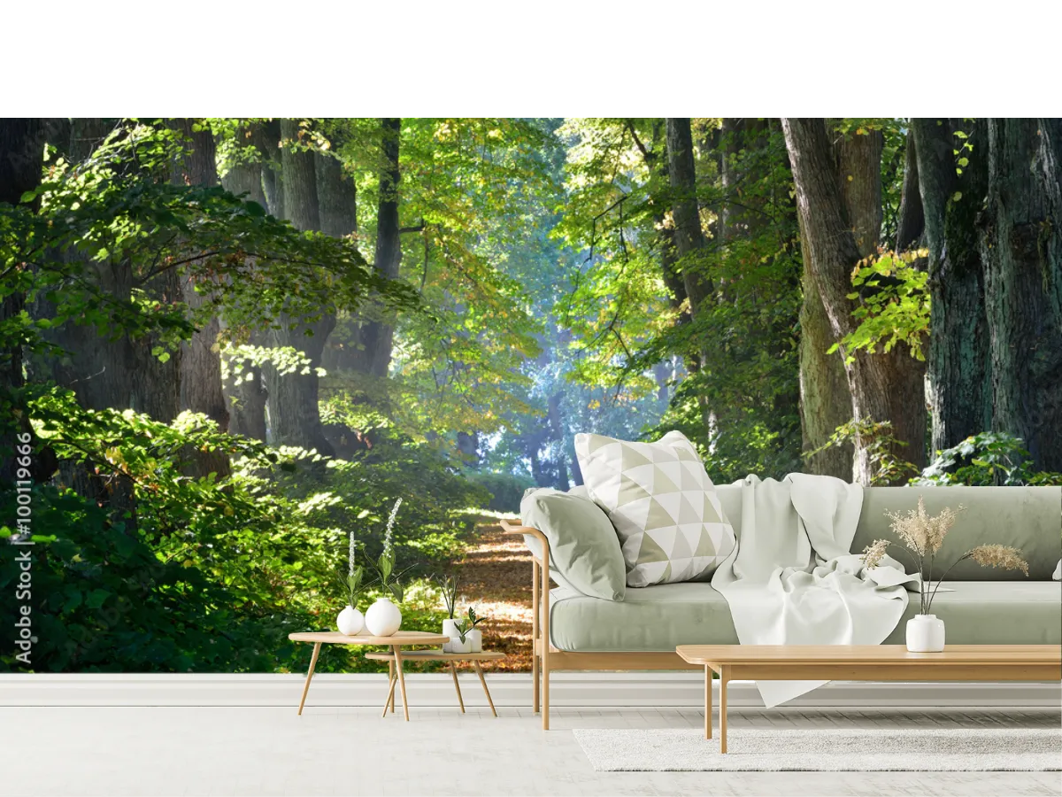 Mural Sendero Encantado Bosque – Fotomural Natural para Decoración de Sala