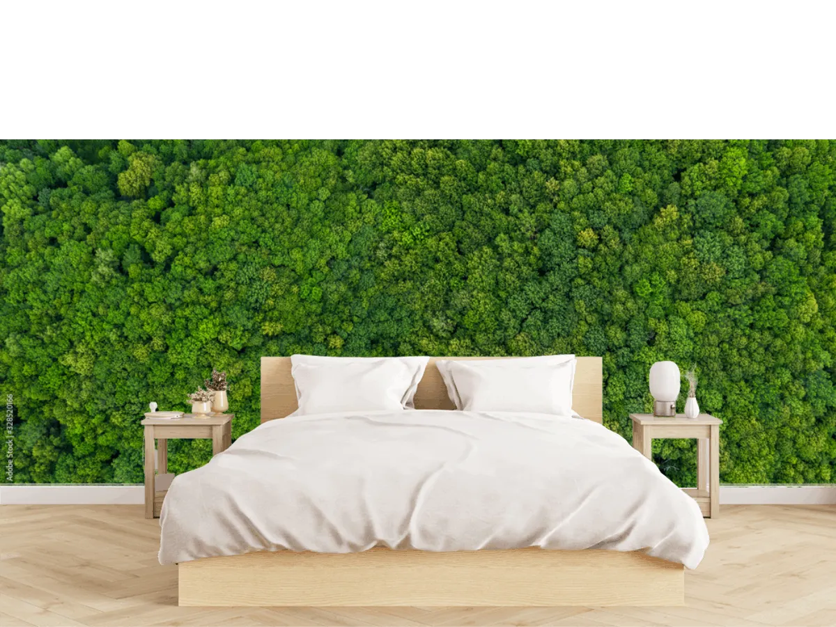 Mural Bosque Sereno Verde para Pared, Fotomural Personalizado