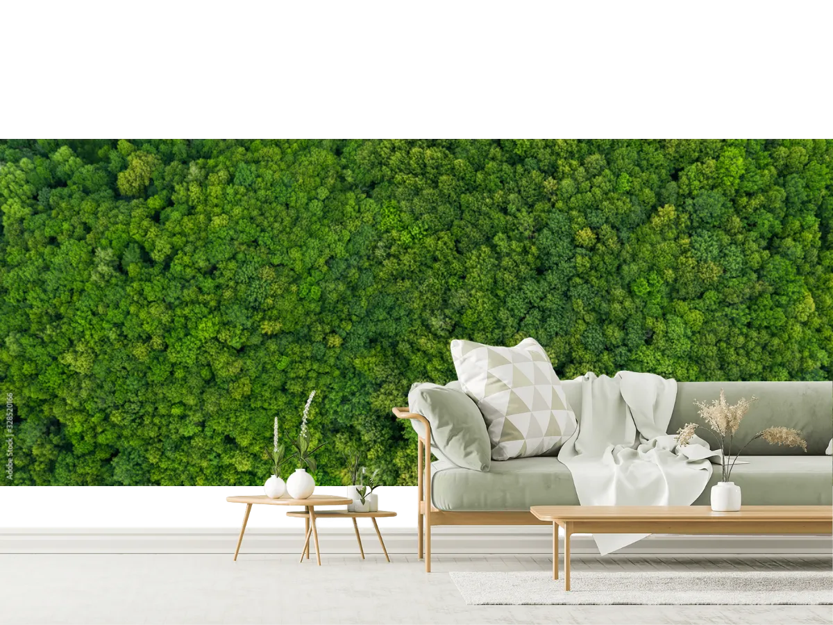 Mural Bosque Sereno Verde para Pared, Fotomural Personalizado