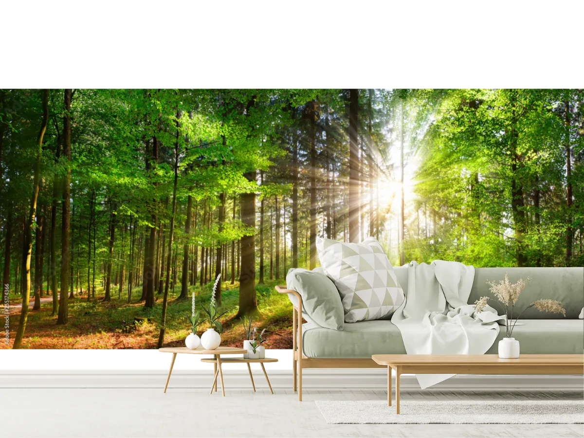 Mural Bosque Destellos de Sol Vinil Arquitectónico para decoración de sala