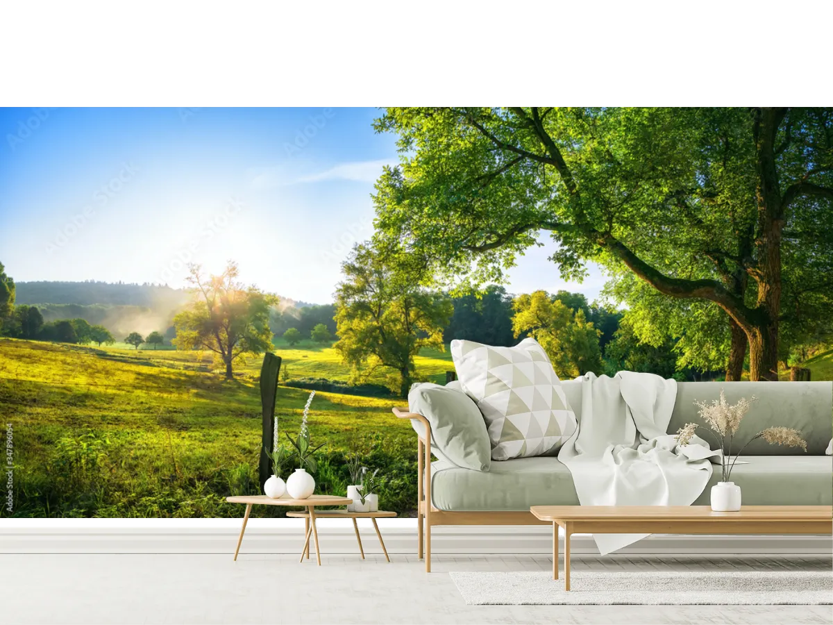 Mural Modelo Amanecer de Bosque para Decoración de Sala - Vinil, Papel Tapiz y más
