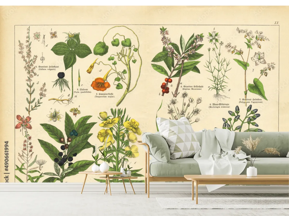 Mural Botánico Vintage Ilustrado para Decoración de Sala o Estudio