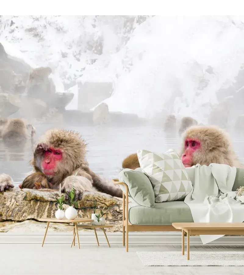 Mural Japones Estilo Spa Natural Monos Nieve
