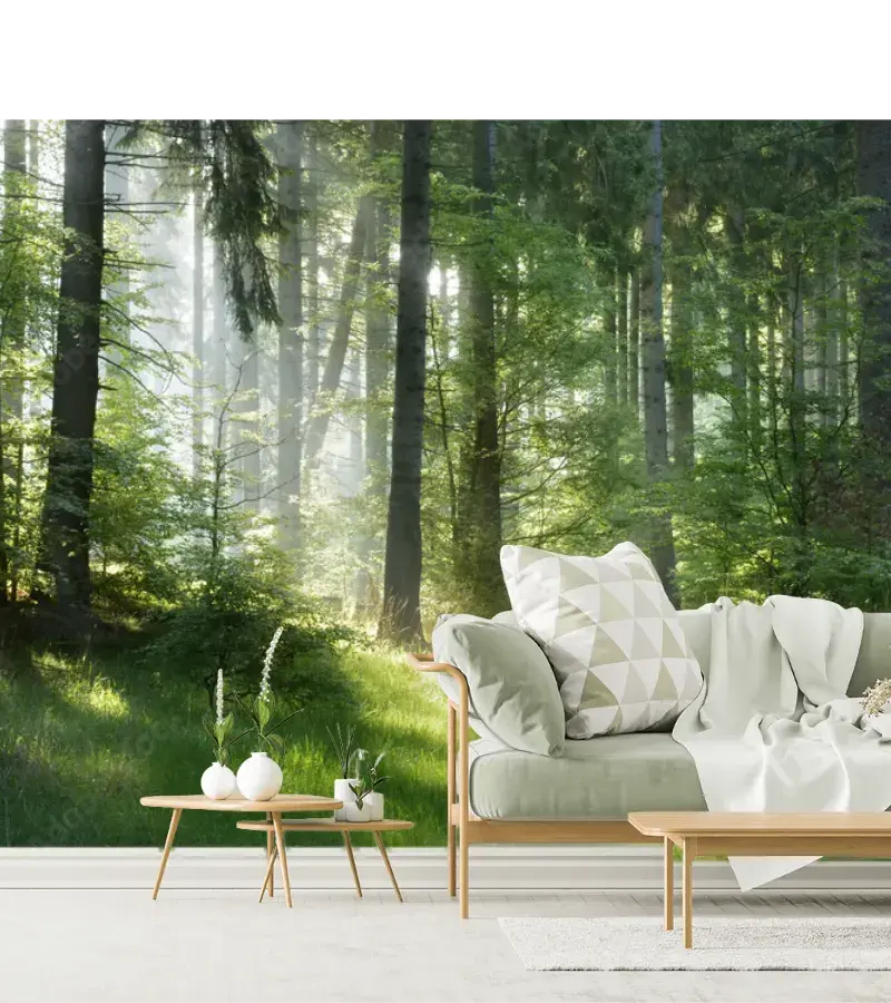 Mural Bosque Mágico Amanecer en Vinil Arquitectónico o Papel Tapiz