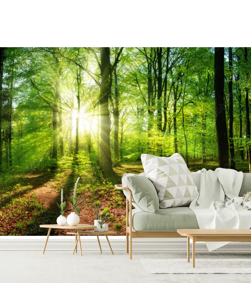Mural Bosque Radiante Amanecer