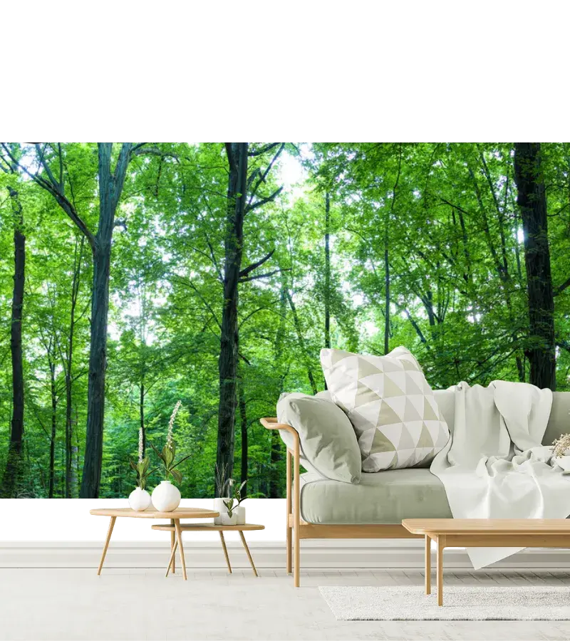 Mural Bosque Encantado Verde en Vinil o Tapiz para Decoración de Sala