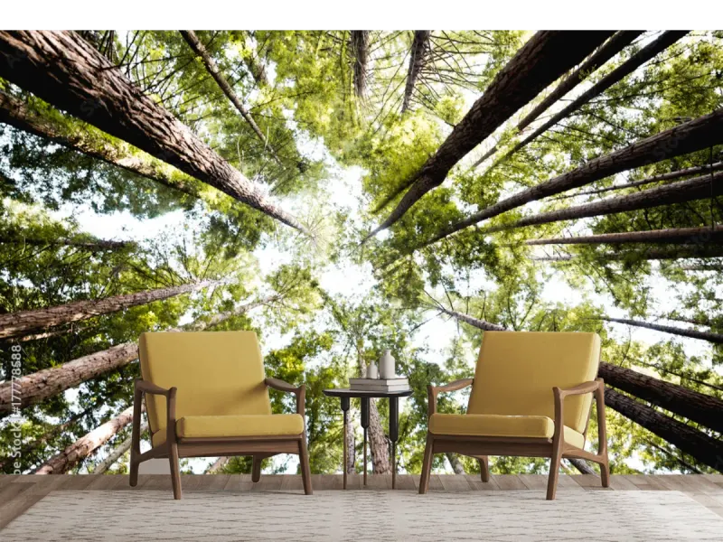 Mural Bosque Eterno para Pared – Fotomural Decorativo en Vinil, Papel Tapiz y Más