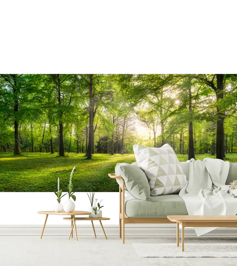 Mural Bosque Luz Eterna