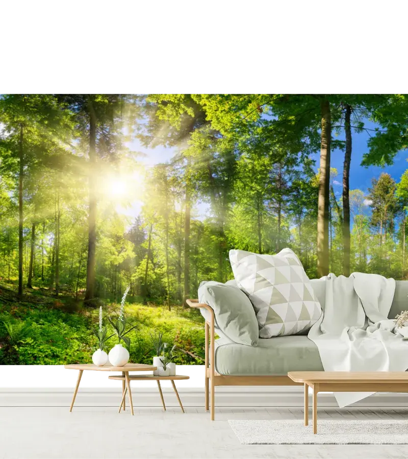 Mural Bosque Luminoso para Pared – Fotomural Decorativo en Vinil o Papel Tapiz