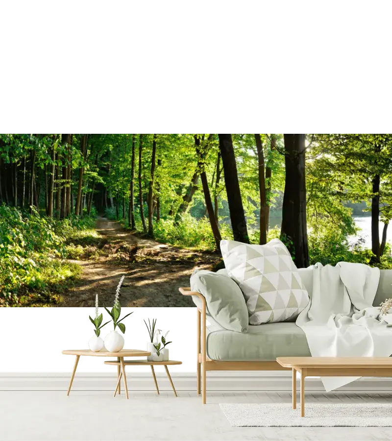 Mural Sendero Escondido Bosque Fresco para decoración de pared