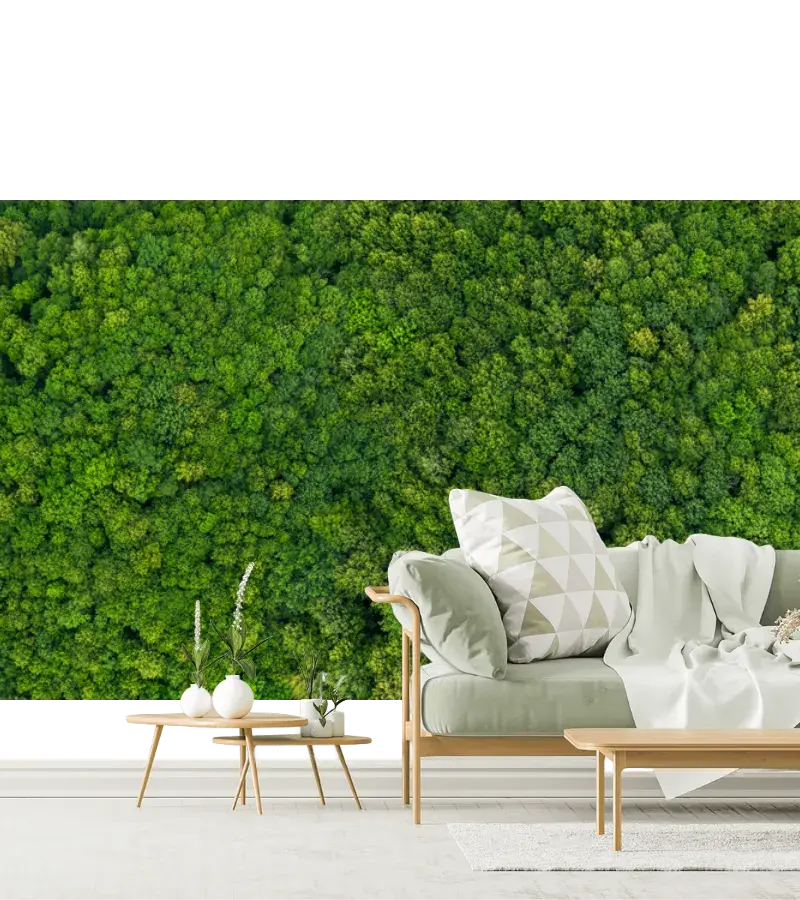 Mural Bosque Sereno Verde para Pared, Fotomural Personalizado