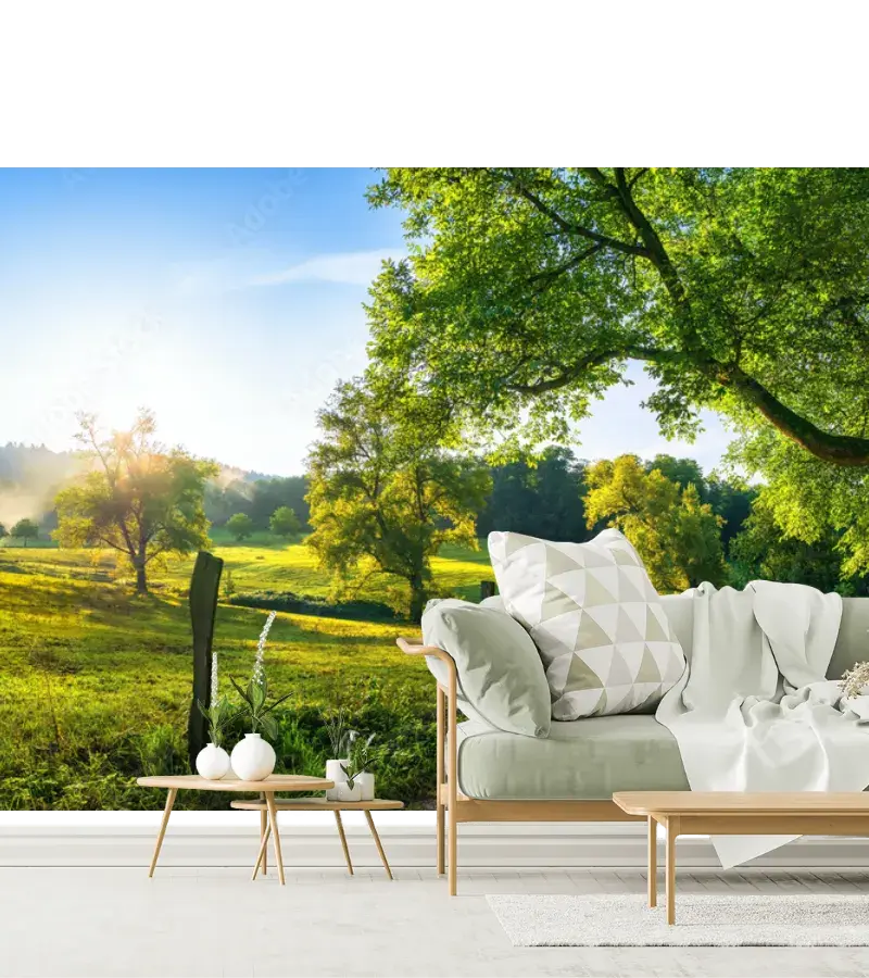 Mural Modelo Amanecer de Bosque para Decoración de Sala - Vinil, Papel Tapiz y más