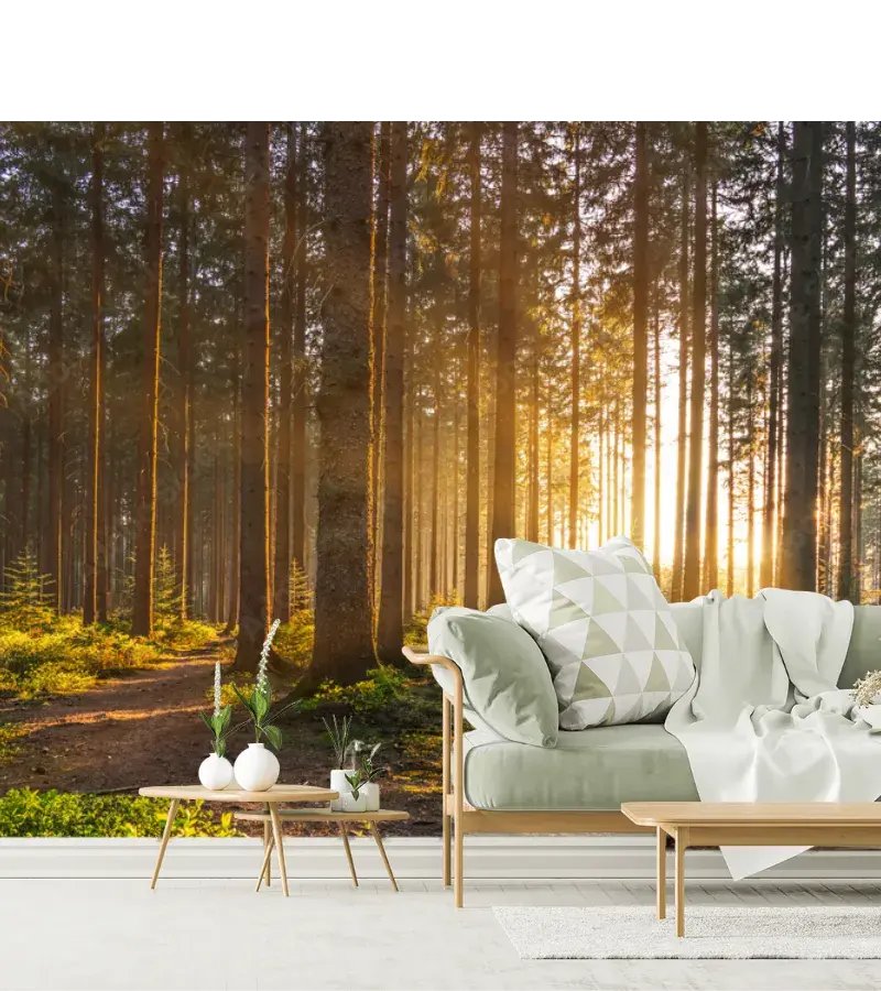Mural Bosque Amanecer Vinil Arquitectónico